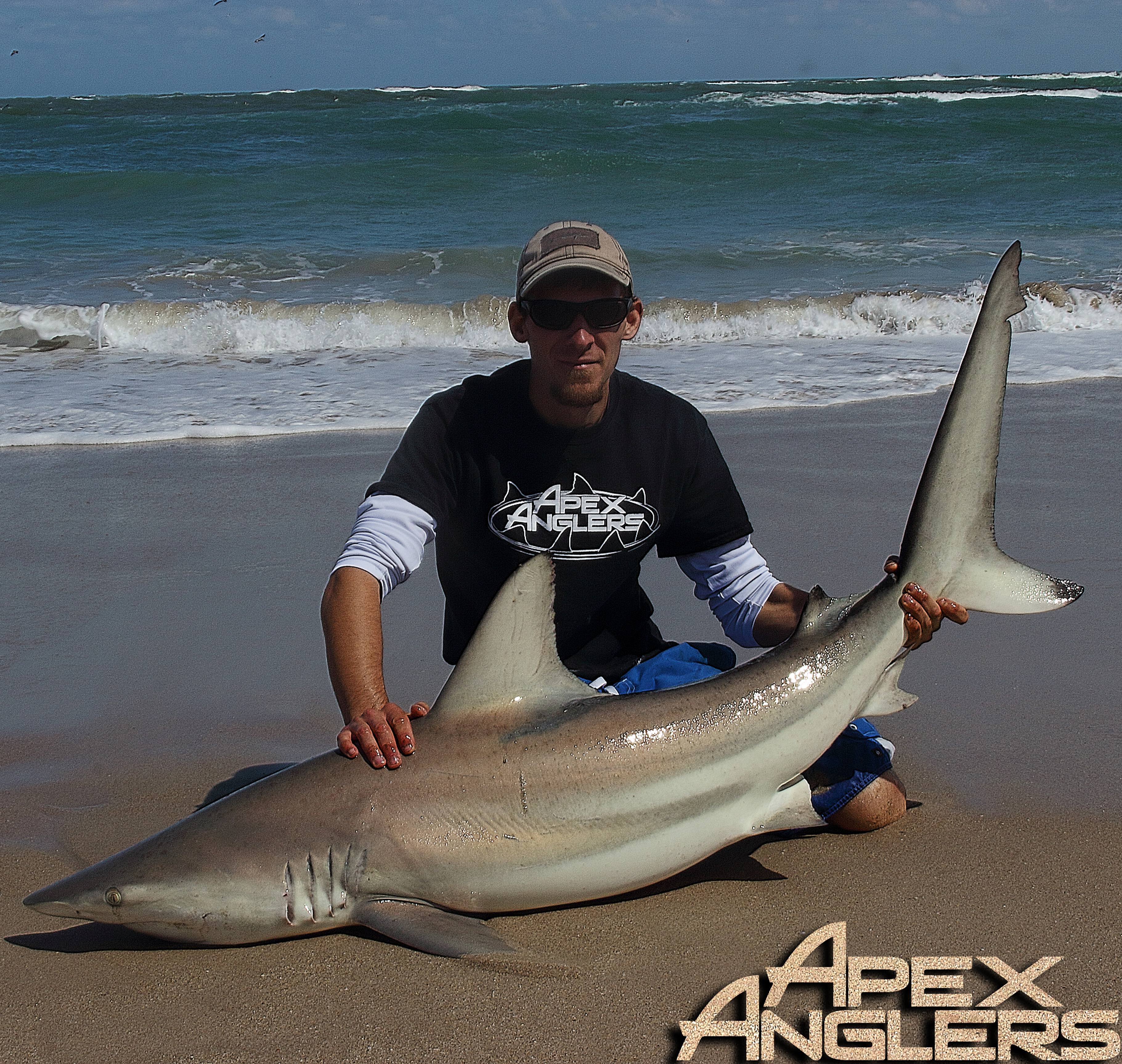 AJ Rotondella with a Blacktip Shark.