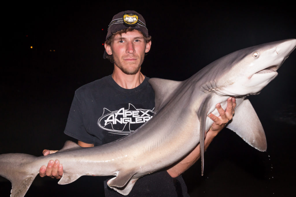 28005328385_d75c240b51_o(1)