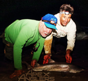 littlesandtiger1
